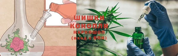 мдпв Кинешма