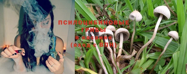 мдпв Кинешма