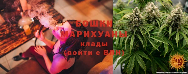 твердый Козельск