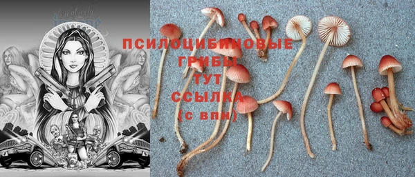 мдпв Кинешма